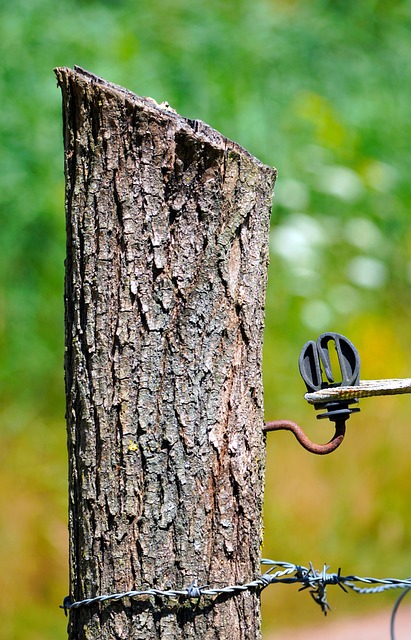fence-company-640x480-2607162.jpeg