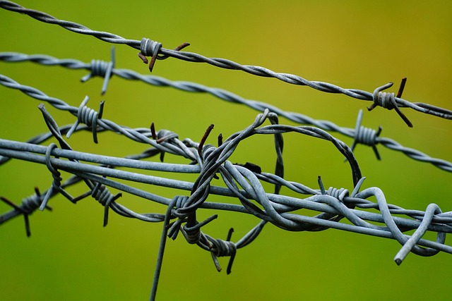 fence-company-640x480-27044475.jpeg