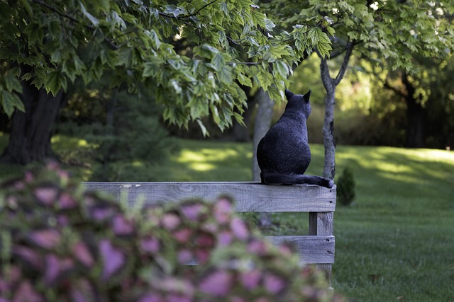 fence-company-640x480-27106392.jpeg