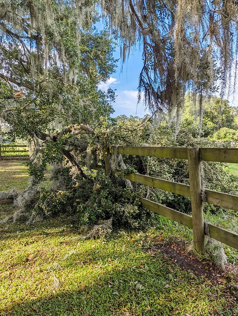 fence-company-640x480-32524241.jpeg