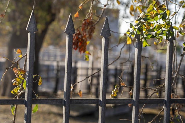 fence-company-640x480-37662419.jpeg