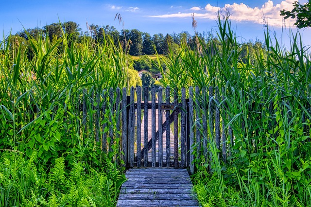 fence-company-640x480-37992190.jpeg
