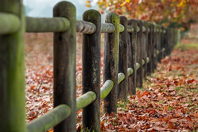 Vinyl Fencing for New Bedford Homes: Types, Advantages &amp; Installation