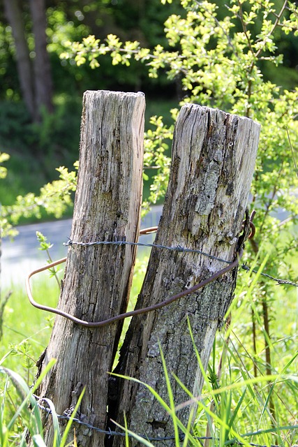 fence-company-640x480-42819893.jpeg