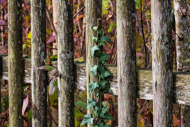 fence-company-640x480-45141377.jpeg
