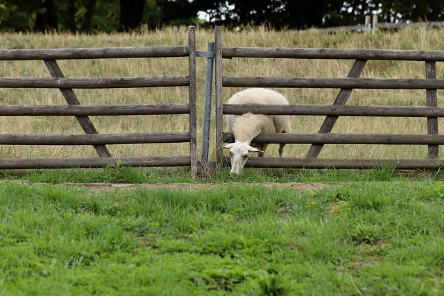 fence-company-640x480-46105191.jpeg
