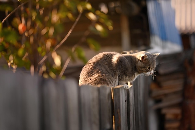 fence-company-640x480-46249337.jpeg