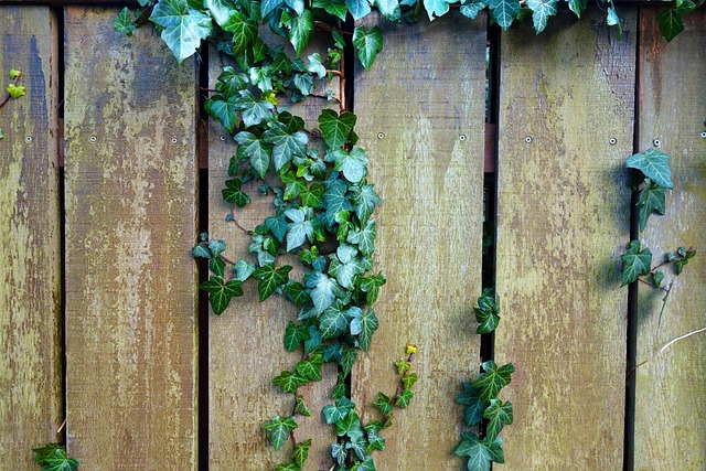 fence-company-640x480-46577438.jpeg