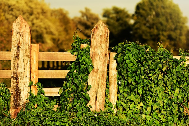 fence-company-640x480-51921715.jpeg