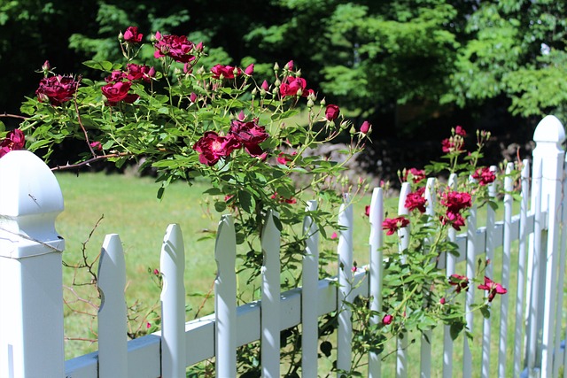 fence-company-640x480-5939997.jpeg