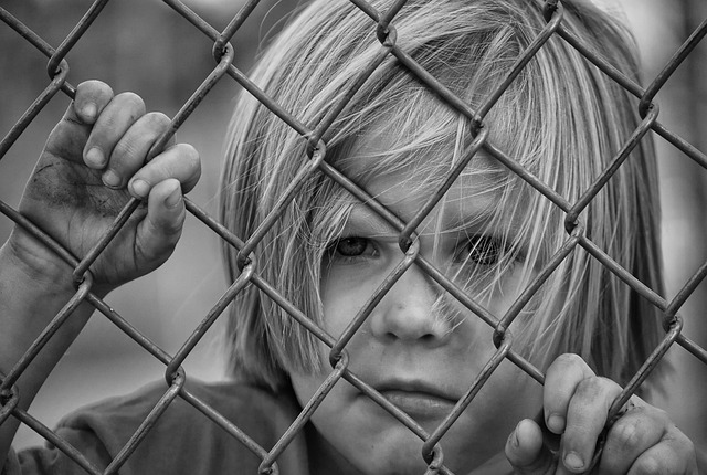 fence-company-640x480-61518364.jpeg