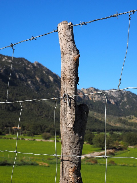 fence-company-640x480-6199169.jpeg