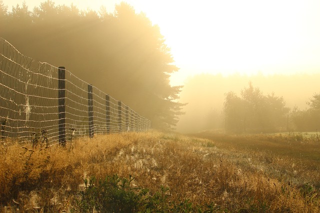 fence-company-640x480-62558961.jpeg