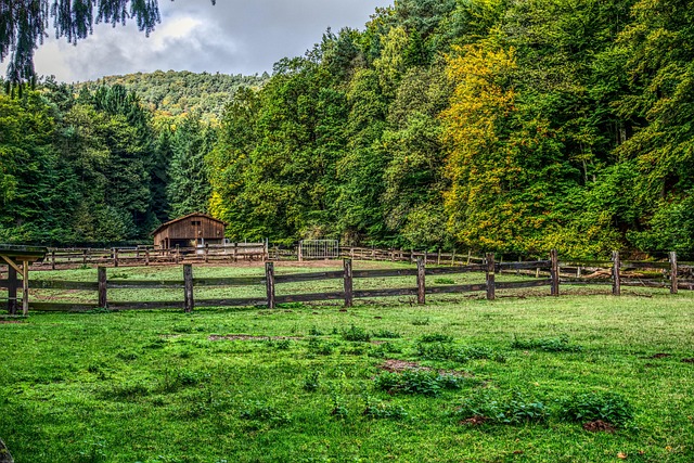 fence-company-640x480-79863238.jpeg