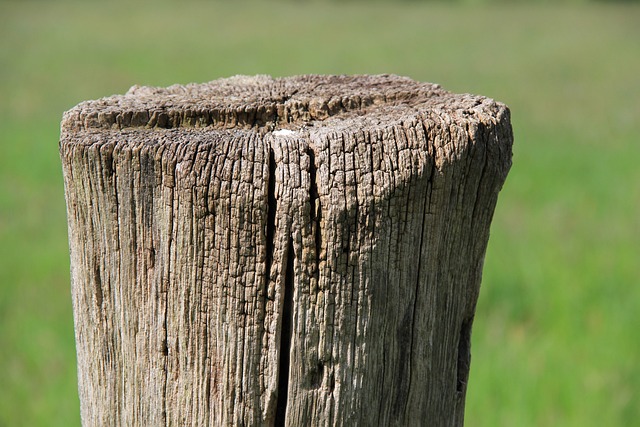 fence-company-640x480-80783480.jpeg