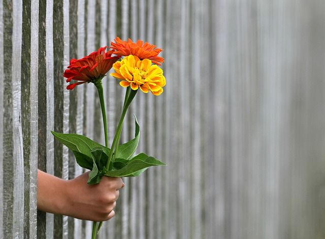 fence-company-640x480-81787711.jpeg