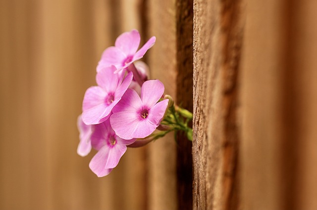 fence-company-640x480-83733648.jpeg