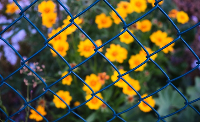 fence-company-640x480-85143692.jpeg