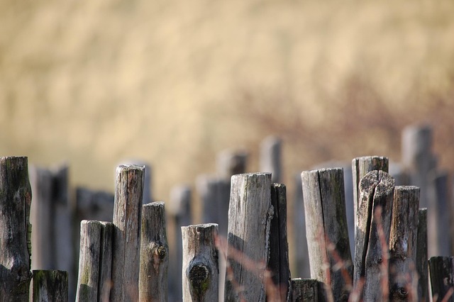 fence-company-640x480-89251431.jpeg