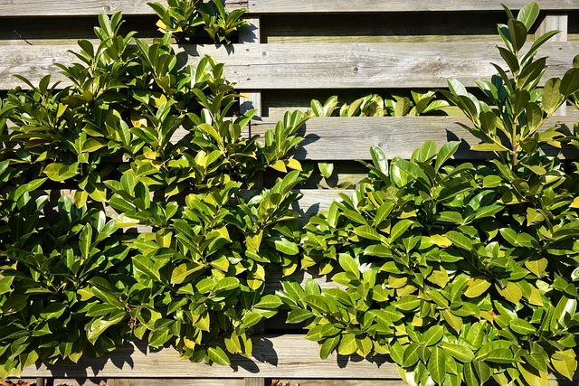 fence-company-640x480-94661911.jpeg