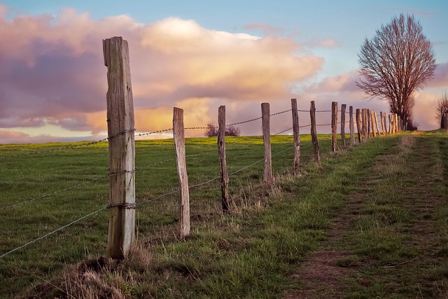 fence-company-640x480-95720332.jpeg