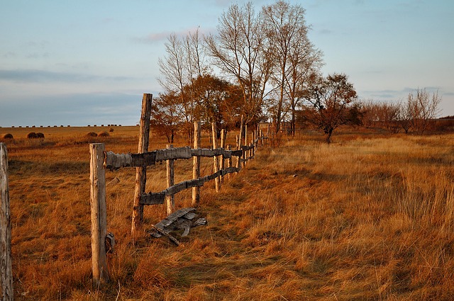 fence-company-640x480-97211921.jpeg