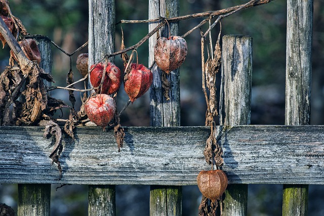 fence-company-640x480-99141545.jpeg