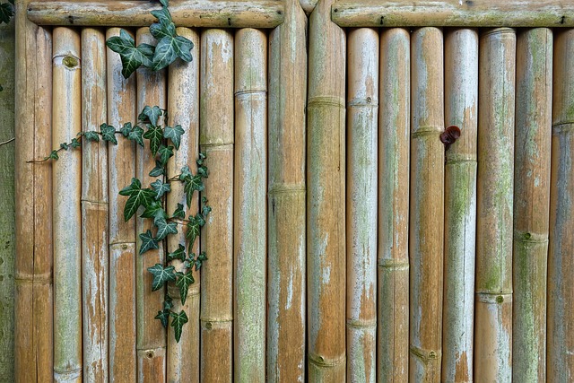 fence-company-640x480-99596922.jpeg