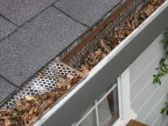 Steel roof installation