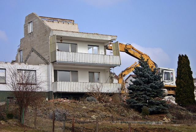 tree removal