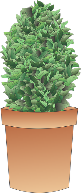 tree-removaltree-removalstump-grindingtr-640x480-90453088.png