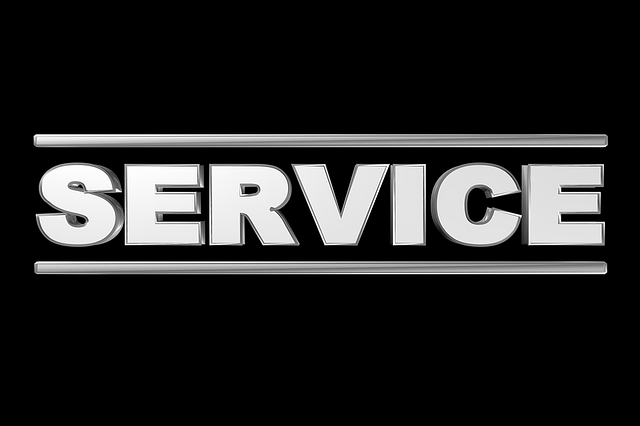 tree-service-640x480-31534894.png