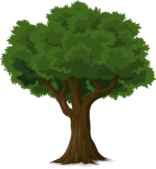 tree-service-640x480-36563659.png