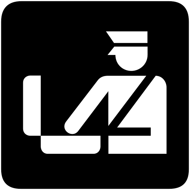tree-service-640x480-46517460.png