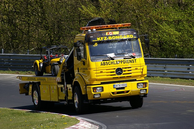 tree-service-640x480-47785028.jpeg