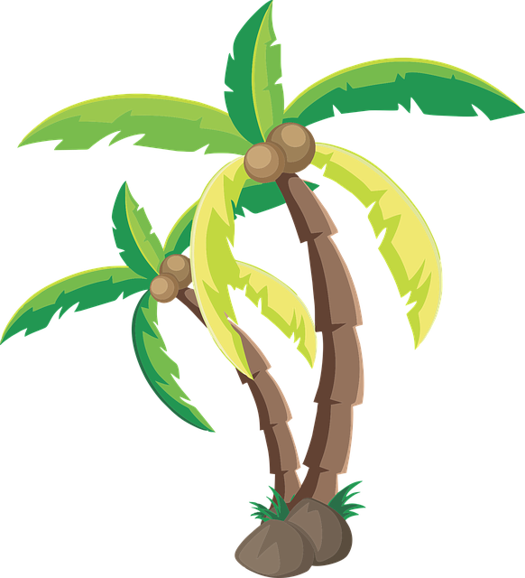 tree-service-640x480-4926840.png
