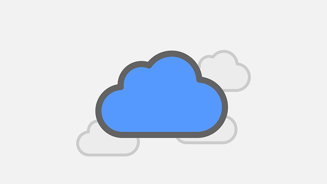tree-service-640x480-5068282.png
