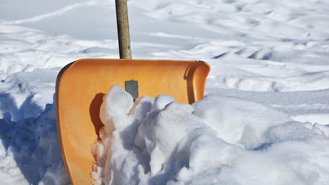 tree-service-640x480-53519760.jpeg