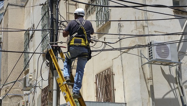 tree-service-640x480-55890075.jpeg