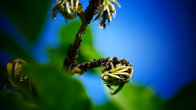 tree-service-640x480-61894730.jpeg