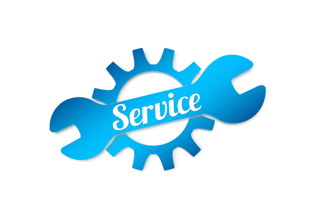 tree-service-640x480-62150473.png