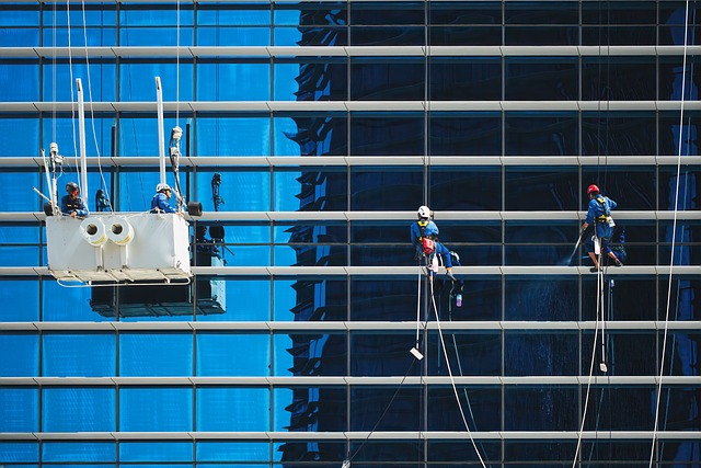 tree-service-640x480-73710967.jpeg