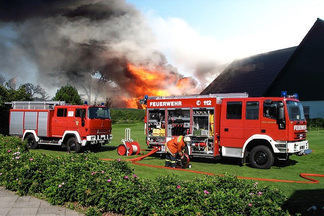 tree-service-640x480-74413789.jpeg