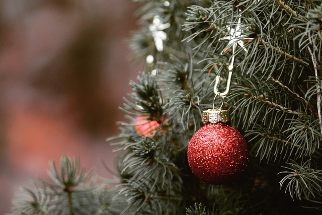 tree-service-640x480-75116100.jpeg