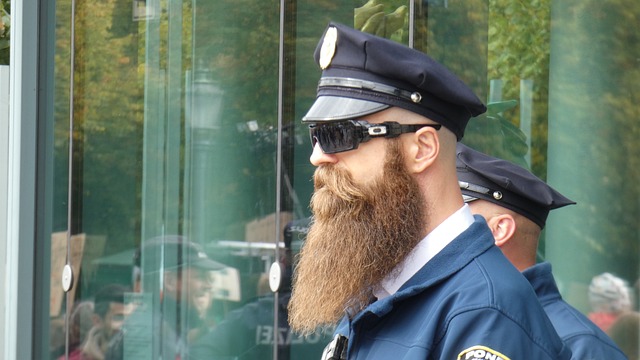 tree-service-640x480-75388720.jpeg