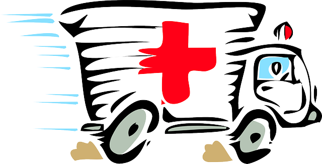 tree-service-640x480-81102218.png