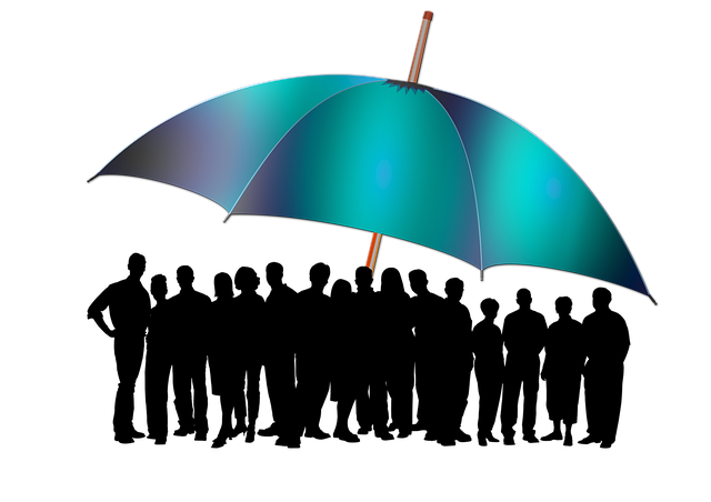 tree-service-640x480-83023930.png