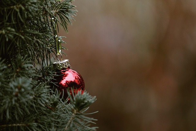 tree-service-640x480-91323902.jpeg