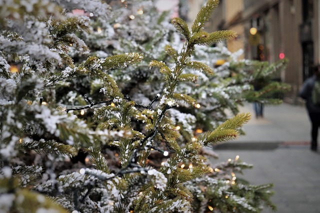tree-service-640x480-92139090.jpeg