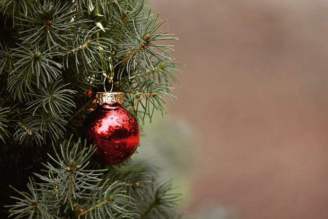 tree-service-640x480-98418635.jpeg